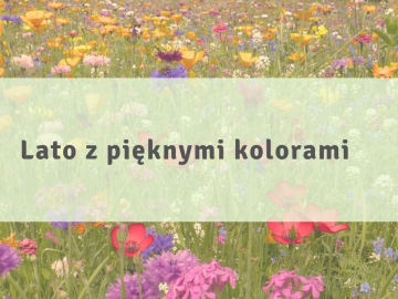Warsztaty „Lato z pięknymi kolorami”