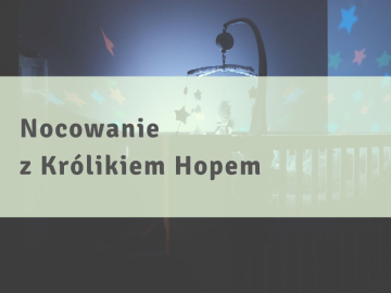 Nocowanie z królikiem Hopem